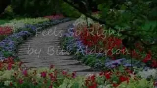 Feel's So Right - Bill Alderson