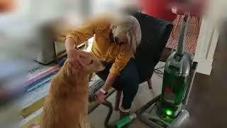 Pet Vacuum Grooming Brush Hair Comb Shedding Deshedding Attachment Tool for Dogs and Cats