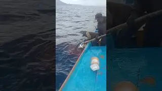 Mancing Tuna Di Laut Banda