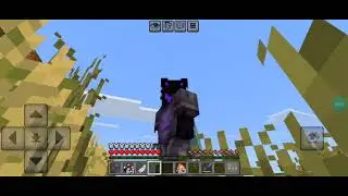 Village chato matei ele mesmo Village chato 😡