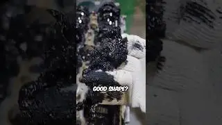 Engine carbon buildup explanation