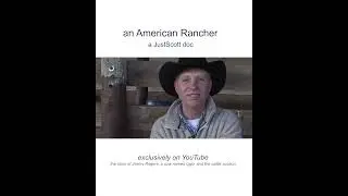 The Bull Whisperer