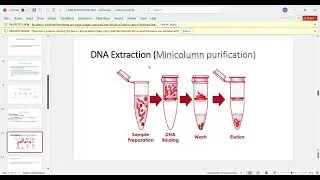 DNA Extraction