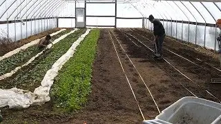High Meadow Farm in March