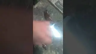 cutelaria supapo Caruaru PE. ZAP (81)998395402