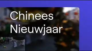 Jaar van de slang Antwerpen