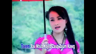Dej Ntshiab Si - Xav Ntsib Zaum Kawg - 2010