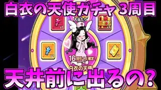 【セルサバイバー】また課金しちゃったので白衣の天使ガチャ80連