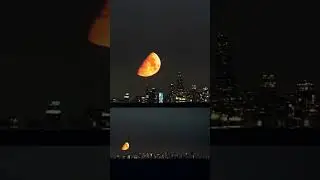 Moonset behind the Chicago Skyline #chicago #moon #timelapse