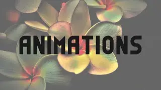 How to add Lottie Animations to any Section