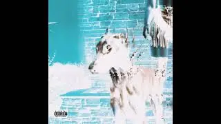 Leon Thomas - MUTT in G Major