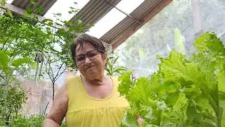 #minha horta minha terapia 