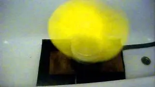 DSCI0433.AVI