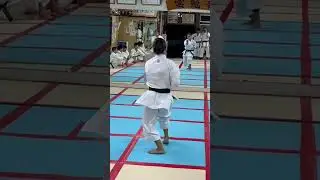 New kata learned in Okinawa 🇯🇵 #shorts #shortsvideo #karate #kata #martialarts #training #okinawa