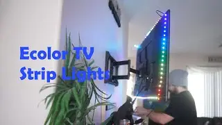 Ecolor Dreamcolor TV Backlighting Unboxing & Review (Alexa/Google Home)