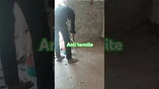#Pestflipservices#construction#pestcontrol #antitermite #trending #mumbai #viralvideo