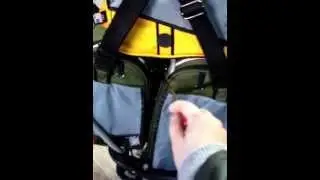 Traveling with three birds in Celltei Pak-o-Bird and a converted stroller