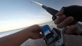 Surfcasting session at milford Auckland