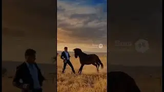 el caballo loco #humor #parati #shorts