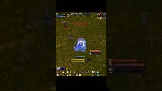 SoD Shocker vs BM Hunter DUEL  #wow #worldofwarcraft #sod #pvp