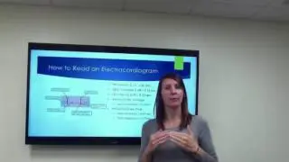 NURS 791 - Project Lecture