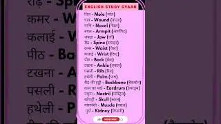 डेली यूज़ इंग्लिश वर्ड मीनिंग |Daily use english words meaning |#english &lrm;⁨&lrm;⁨@English_study_Gyaan⁩&nbsp;