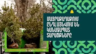 Մայրաքաղաքում ընդլայնվում են կանաչապատ տարածքները