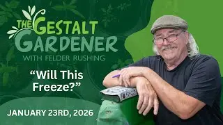 The Gestalt Gardener - January 23, 2026
