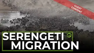 EPIC River Crossing | Northern Serengeti