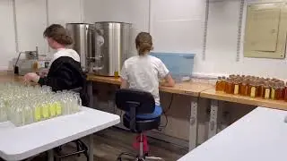 Honey Bottling Machinery Demo