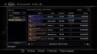 Neverwinter 21 Observations in the Auction House