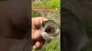 #fishing #bassfishing #lake #funny