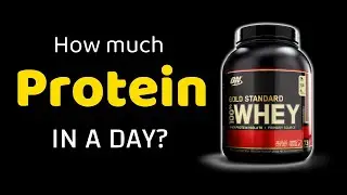 How much Protein should you eat in a Day