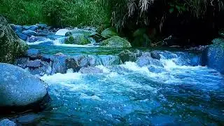 Outdoors River Ambience Sleep Music for Relaxation, Nature Therapy & Deep Rest