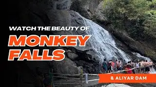 Trip to Monkey Falls & Aliyar Dam