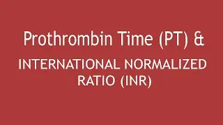 Prothrombin Time(PT) and INTERNATIONAL NORMALIZED RATIO (INR) | Dr. Shikha Parmar