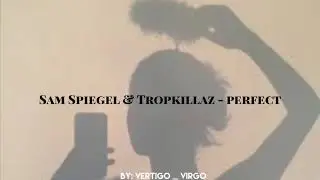 Sam Spiegel & Tropkillaz perfect - slowed