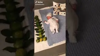 Bebek aylık konsept fotoğrafları 😍