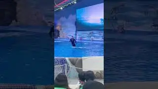 Dubai dolpharium #habibi