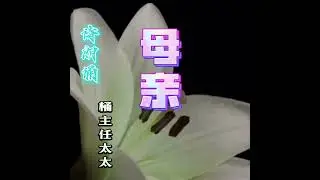 诗朗诵：桶主任太太                                            母亲
