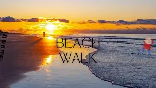 Beach Walk | Gentle Ocean Sounds, Seagulls and Footsteps to Meditate, Rest and Relax