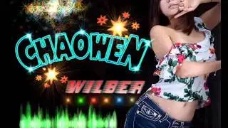 ╣Canal■03╠ Musica Indu Pop Remix - DjNcFrAnKSkrie C ArabiC2010 - REMIX- ChaoweN- Wilber