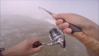 surf fishing for redtail perch during low tide