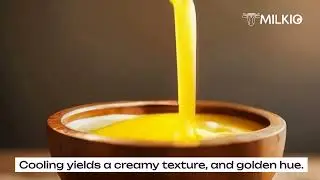 Ghee manufacturing process unveiled