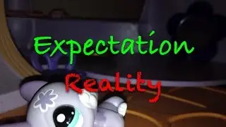 LPS Expectations VS Reality: Summer Break 😎