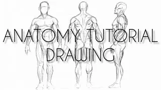 ANATOMY DRAWING  TUTORIAL  - IMGESEL  CIZIM ICIN IPUCLARI