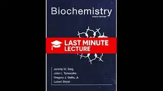 Gene Expression Control in Eukaryotes | Chapter 32 &ndash; Biochemistry (8th)