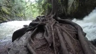 BX Falls BC
