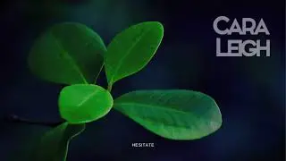 Cara Leigh - Hesitate