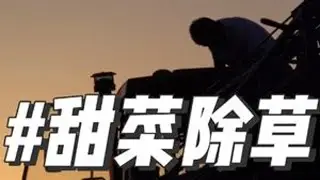 2024年的第一个夜班，万事俱备只欠东风？ 目前我们种植的甜菜已经出苗，我们将采用苗后除草技术，让我们拭目以待他它的效果吧！#现代农业机械 #春耕大势 #农业 #三农